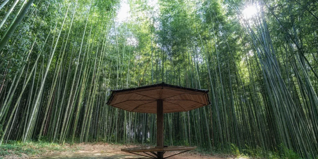 bamboo garden health centre