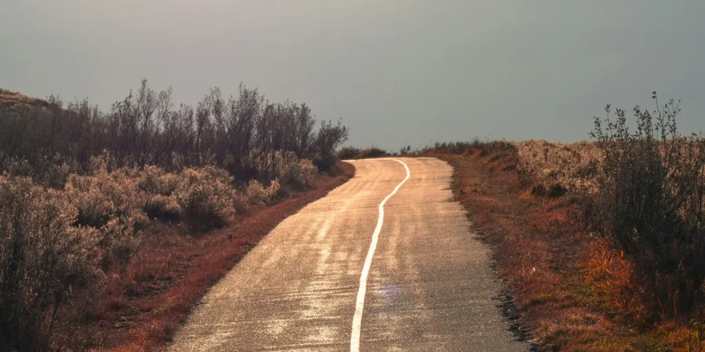 spider-man all roads lead to no way home film